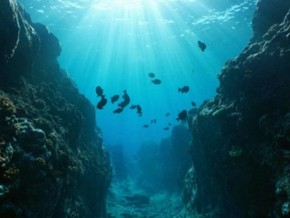 Video - Nơi sâu nhất dưới đáy đại dương có gì đặc biệt?