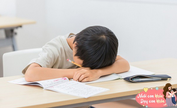 4 điểm khác biệt giữa trẻ ngủ muộn và trẻ ngủ sớm, nhất là thành tích học tập ở lớp - 4