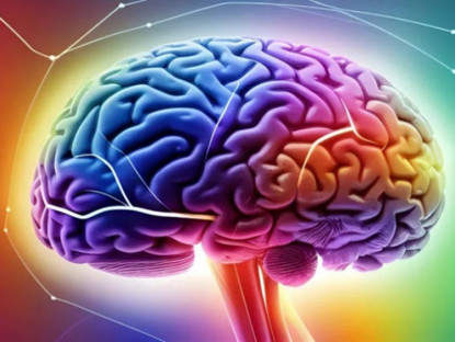 Công nghệ - Xem hình ảnh 3D chi tiết chưa từng có về não người