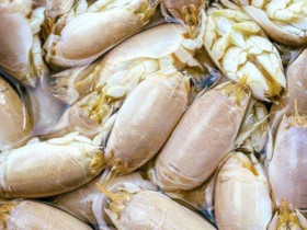 Loại hải sản lạ ở Việt Nam có vỏ giòn rụm, ngon như cua ghẹ, giá 250.000 đồng/kg