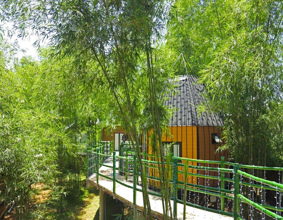 Một ngày thăm Công viên Di sản các nhà khoa học Việt Nam (MEDDOM Park) - 6