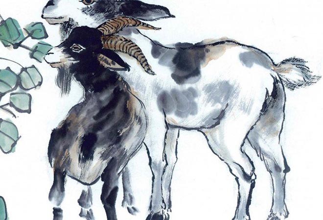 Tử vi tuần mới 20/5-26/5: Thìn tài lộc dồi dào nhưng cần đề phòng người quen, Ngọ tránh mua sắm lớn - 4