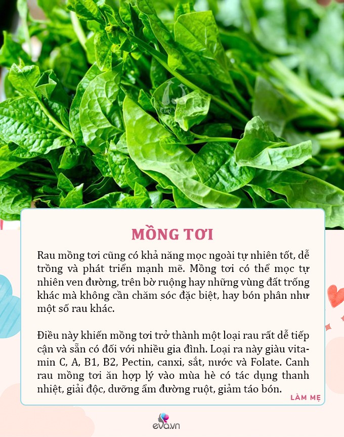 Mùa hè, 5 loại rau có dư lượng thuốc trừ sâu bằng 0, dù đắt đến đâu mẹ cũng nên mua cho con ăn - 3