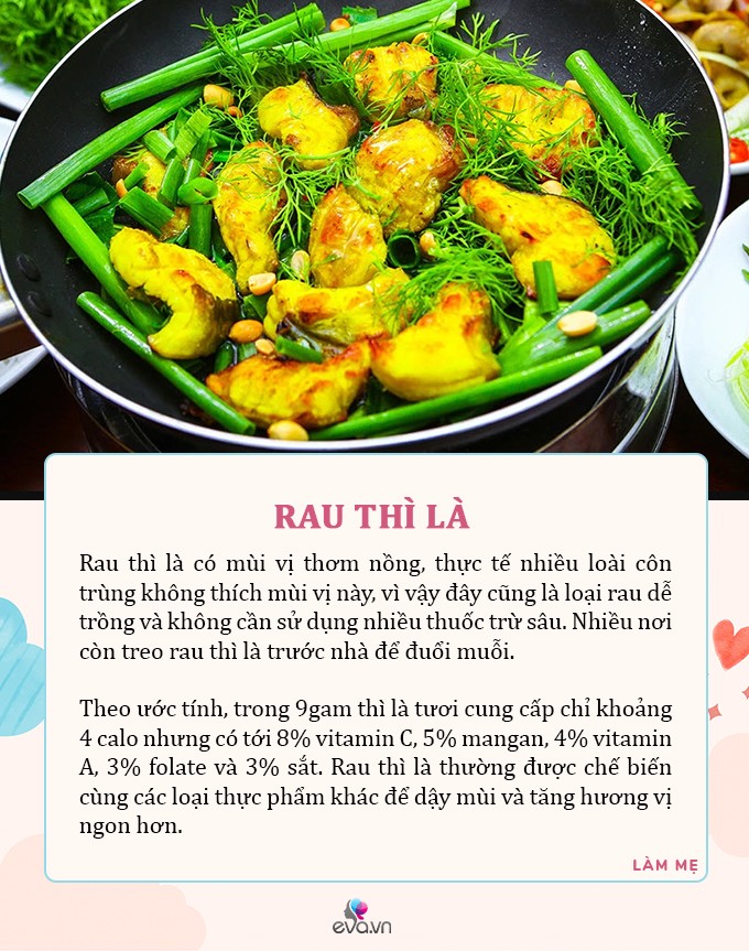 Mùa hè, 5 loại rau có dư lượng thuốc trừ sâu bằng 0, dù đắt đến đâu mẹ cũng nên mua cho con ăn - 5