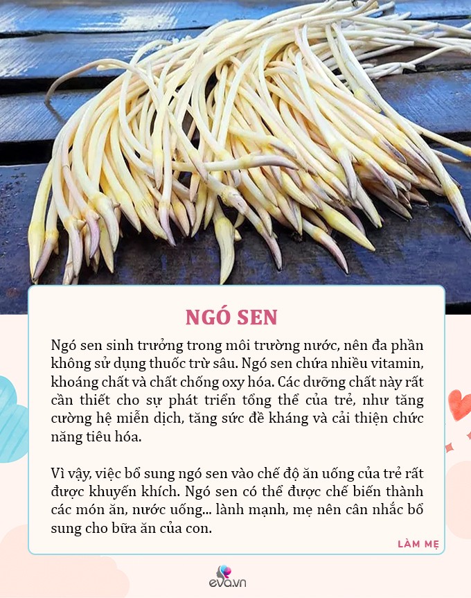 Mùa hè, 5 loại rau có dư lượng thuốc trừ sâu bằng 0, dù đắt đến đâu mẹ cũng nên mua cho con ăn - 4