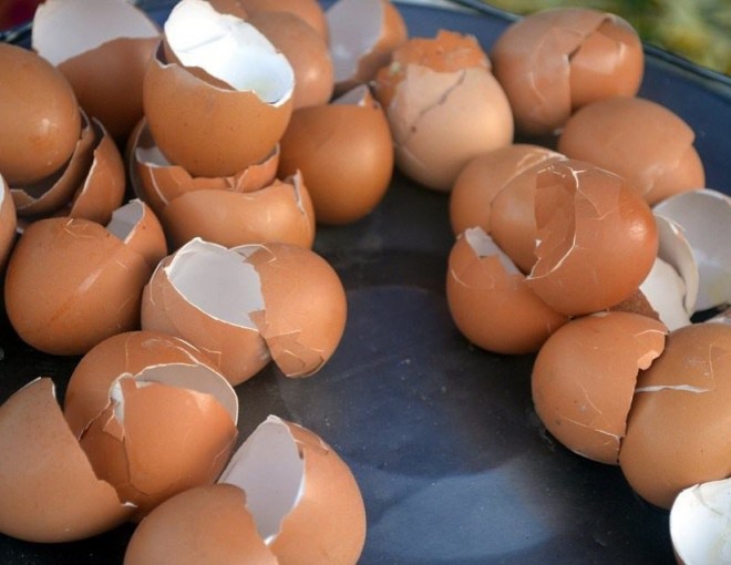 Rửa sạch vỏ trứng rồi làm theo cách này, vừa tiện lợi vừa tiết kiệm được tiền triệu mỗi năm - 1