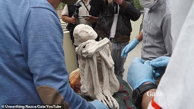 Điều lạ thường về xác ướp "người ngoài hành tinh" ở Peru - 1