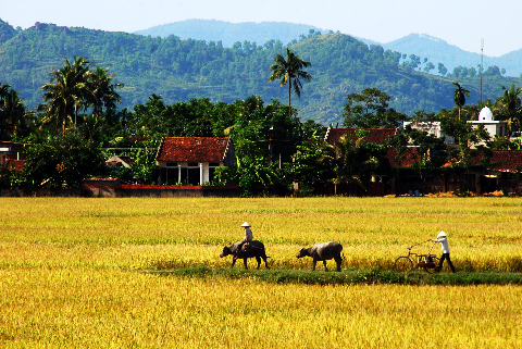 Những bài học nông thôn và triển vọng của văn chương về “tam nông” nhìn từ văn hóa - 1