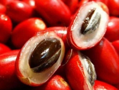 Thông tin doanh nghiệp - 5 mẹo giảm tiểu đêm, tiểu nhiều lần tại nhà đơn giản nhưng cực hiệu quả!