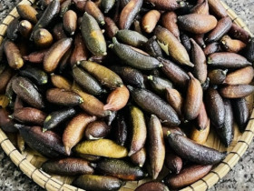 Xuất hiện loại quả bé như ngón tay mà giá lên tới 3 triệu đồng/kg