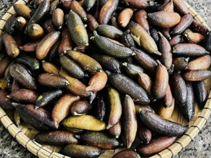 Kinh tế - Xuất hiện loại quả bé như ngón tay mà giá lên tới 3 triệu đồng/kg