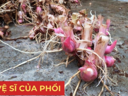 Thông tin doanh nghiệp - Gia vị quen thuộc này chính là “vệ sĩ” của phổi, đọc xong nhiều người “tiếc đứt ruột” vì bỏ phí!