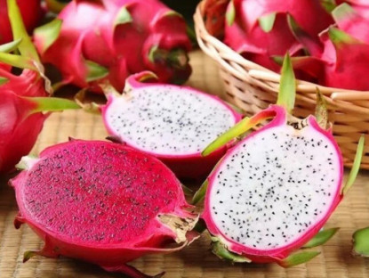 Gia đình - Mua thanh long, nhìn vào vảy thấy điều này mua ngay, người bán cũng phải khen bạn là &quot;thánh đi chợ&quot;