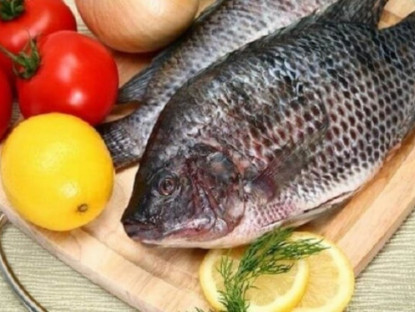 Thông tin doanh nghiệp - Việt Nam có 1 loại cá mệnh danh là &quot;gà nước&quot;, thịt thơm ngon lại là “thuốc đại bổ” xương khớp