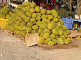 Sầu riêng bán đầy đường với giá chỉ từ 30 nghìn đồng/kg: Sự thật bất ngờ