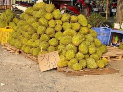 Kinh tế - Sầu riêng bán đầy đường với giá chỉ từ 30 nghìn đồng/kg: Sự thật bất ngờ