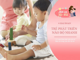 4 giai đoạn phát triển não bộ "đỉnh cao", nắm bắt 1 trong số đó trẻ sẽ có IQ phi thường