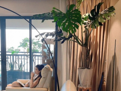 Gia đình - 8 cây cảnh giữ nhà “đặt đâu sang đấy”, vừa uy nghiêm lại chiêu tài lộc, chẳng trách nhà giàu mê tít