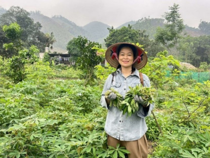 Kinh tế - Loại cây trước lấy củ ăn chống đói, giờ hái lá làm món này bán được cả triệu đồng