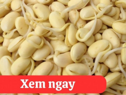 Thông tin doanh nghiệp - “Tái sinh” khớp gối với 2 món ăn quen thuộc – bí mật mà người bị viêm khớp, thoái hóa khớp không thể bỏ qua!