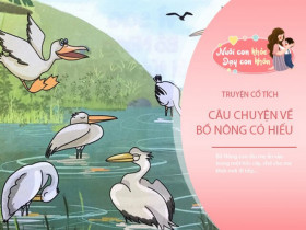 Truyện cổ tích: Bồ nông có hiếu