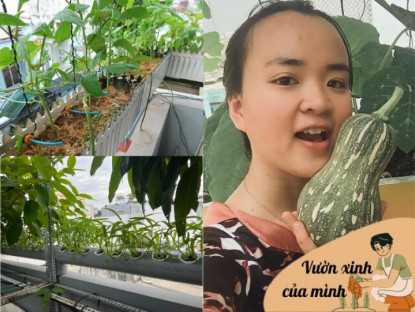 Gia đình - Cặp vợ chồng trẻ Sài Gòn xây vườn rau củ rộng 20m2 trên sân thượng, 2 năm làm vườn chỉ tốn 70 triệu