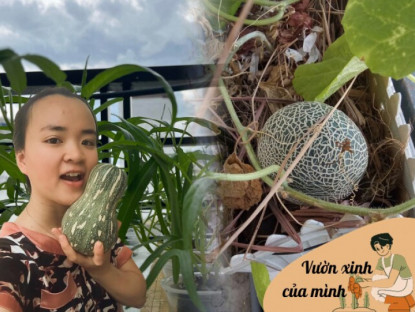 Gia đình - Cặp vợ chồng trẻ Sài Gòn xây vườn rau củ rộng 20m2 trên sân thượng, 2 năm làm vườn chỉ tốn 70 triệu