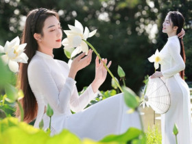 Ngẩn ngơ vẻ đẹp yêu kiều của thiếu nữ giữa đầm sen trắng muốt