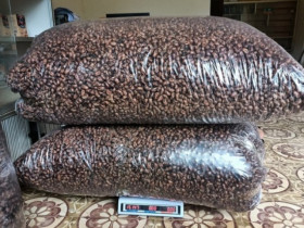 Bất ngờ xác loại côn trùng được mua với giá 2,5 triệu đồng/kg, dân buôn gom từng lạng