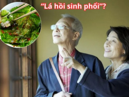 Thông tin doanh nghiệp - Loại lá được người Nhật ví như &quot;lá hồi sinh phổi&quot; cực đắt đỏ nhưng ở Việt Nam “rẻ như cho”