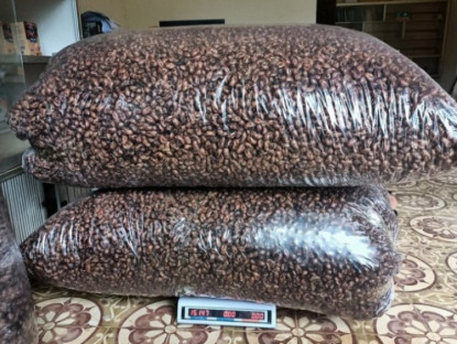 Kinh tế - Bất ngờ xác loại côn trùng được mua với giá 2,5 triệu đồng/kg, dân buôn gom từng lạng