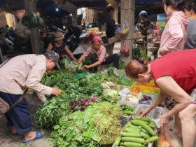 Loại rau giàu sắt gấp hơn 4 lần thịt bò có bán đầy chợ, giá chỉ vài nghìn đồng