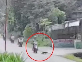 Clip: Phanh gấp tránh mèo băng qua đường, cô gái khiến nhiều xe máy đâm nhau