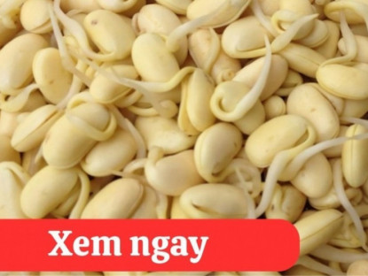 Thông tin doanh nghiệp - “Tái sinh” khớp gối với 2 món ăn quen thuộc – bí mật mà người bị viêm khớp, thoái hóa khớp không thể bỏ qua!