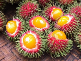 Độc đáo loại quả có ruột như lòng đỏ trứng gà, chị em thi nhau lùng mua về ăn thử