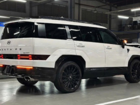 Santa Fe: Chiếc SUV bị 