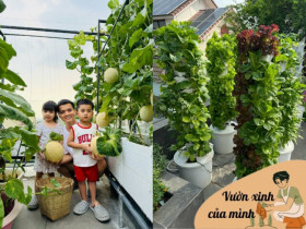 Ông bố 3 con chi 80 triệu xây khu vườn đẹp mướt mắt trên sân thượng, 90m2 mà loại rau quả nào cũng có