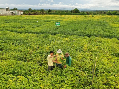 Thông tin doanh nghiệp - Chuyện người giữ sức khỏe cho đất