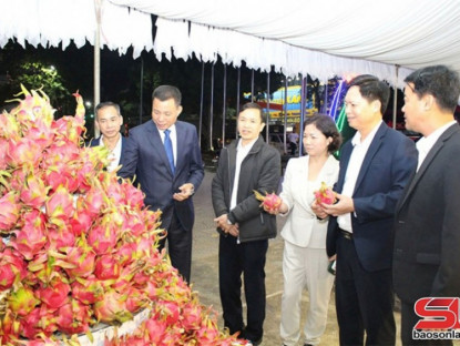 Thông tin doanh nghiệp - Hành trình xây dựng thương hiệu &quot;Thanh long Sơn La&quot;