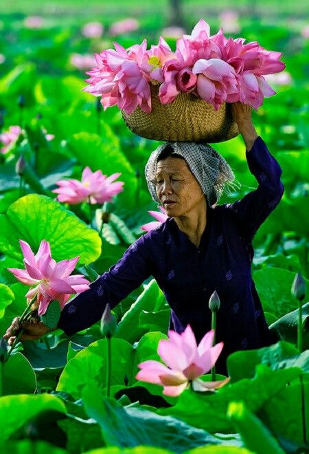 Về một thực thể thẩm mỹ và đạo đức truyền thống mang đậm dấu ấn Việt Nam - 2