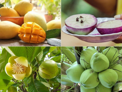 Ẩm thực - Việt Nam có tới 8 loại trái cây ngon nhất Đông Nam Á, một loại hiếm ai biết tới