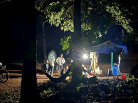 “Lộc trời” tại Việt Nam xuất hiện vào ban đêm, dân soi đèn đi hái kiếm tiền triệu