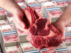 Đầu tư tài chính trực tuyến 3,6 tỷ đồng, cay đắng nhận lại... toàn thịt bò