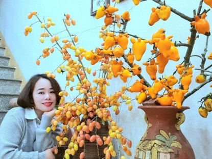 Gia đình - Mê mệt những bình quả của mẹ đảm Phú Thọ: Cà dại hay trứng gà, quả nhót đều &quot;lên đời&quot; khi thả vào bình