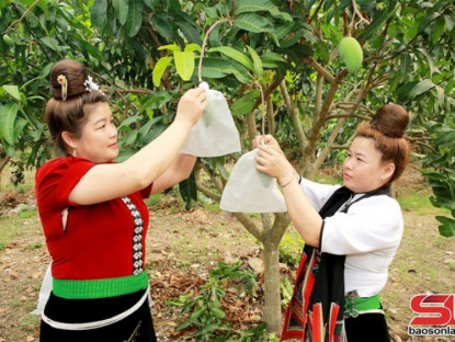 Thông tin doanh nghiệp - Chủ động phương án tiêu thụ, xuất khẩu nông sản