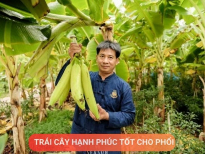 Thông tin doanh nghiệp - Loại quả được mệnh danh là “trái cây hạnh phúc”, rất giàu dinh dưỡng cho phổi, nhưng thường bị người Việt bỏ qua