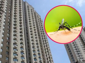 Muỗi có thể bay cao đến tầng mấy? Đây là cách diệt muỗi an toàn, hiệu quả bằng những thứ có sẵn trong nhà