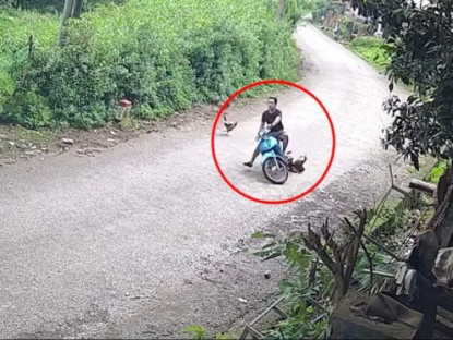 Giao thông - Clip: Vào cua bất cẩn, thanh niên đâm trúng gà rồi ngã sõng soài giữa đường