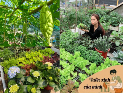 Gia đình - Mẹ 9X Quảng Ninh xây khu vườn trên sân thượng, chỉ 15m2 nhưng rau quả gì cũng có