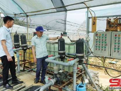 Thông tin doanh nghiệp - Sơn La ứng dụng công nghệ vào sản xuất